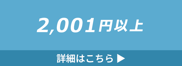 2001円以上のバッグの詳細はこちら