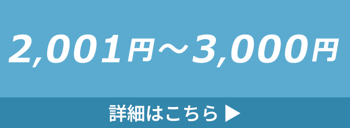 2,001円～3,000円の水筒・ボトルの詳細はこちら