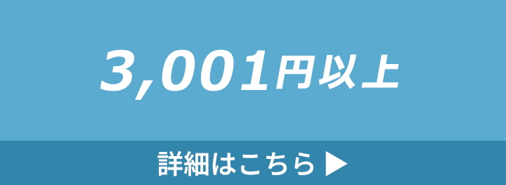 3,001円以上のタンブラーの詳細はこちら