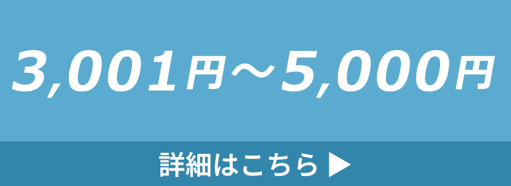 3,001円～5,000円の水筒・ボトルの詳細はこちら