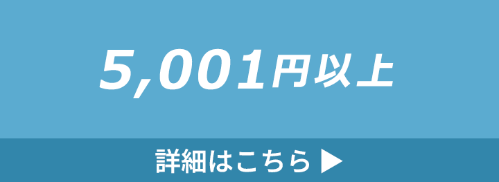 5,001円以上の水筒・ボトルの詳細はこちら