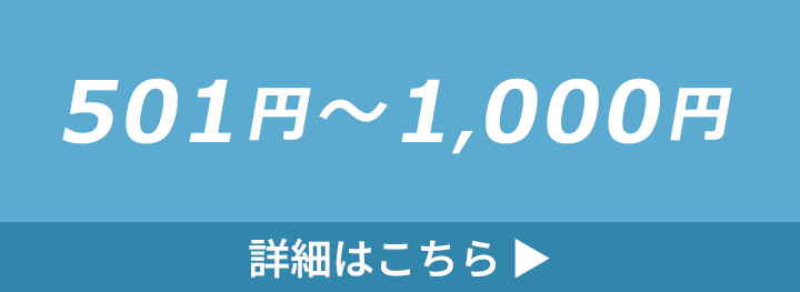 501円～1000円のバッグの詳細はこちら