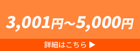 3001円～5000円