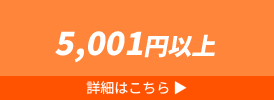 5001円以上