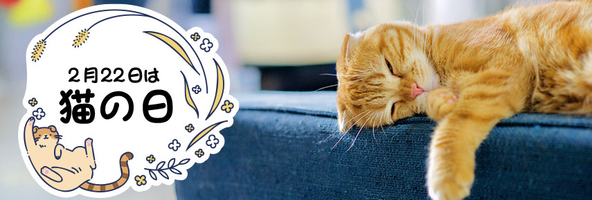 2月22日は猫の日