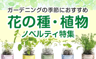 ガーデニングの季節におすすめ　花の種・植物ノベルティ特集