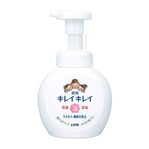 ライオン キレイキレイ　薬用泡ハンドソープ250ml　箱なし