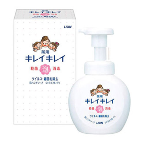 ライオン キレイキレイ　薬用泡ハンドソープ250ml　箱入