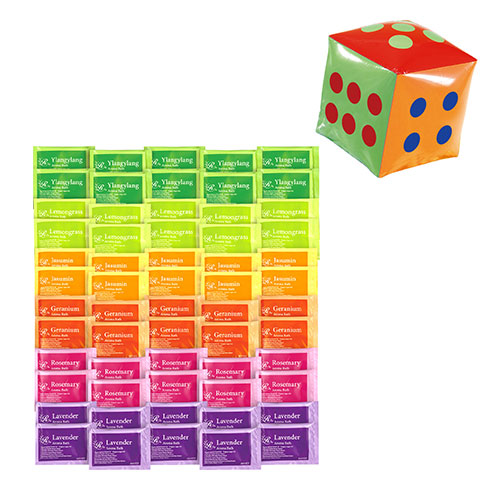 サイコロ出た目の数だけプレゼントアロマバス(約35人用)