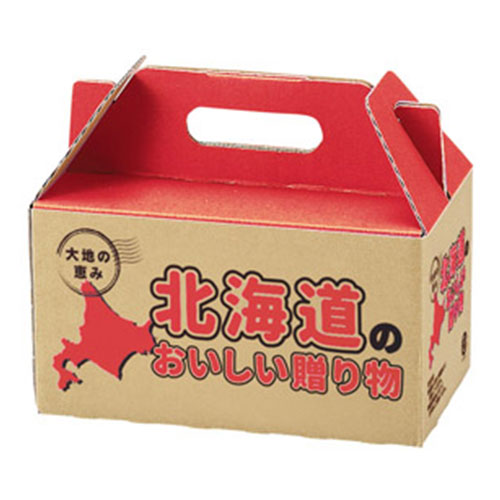 大地の恵み　北海道産じゃがいも800g　※税率8％