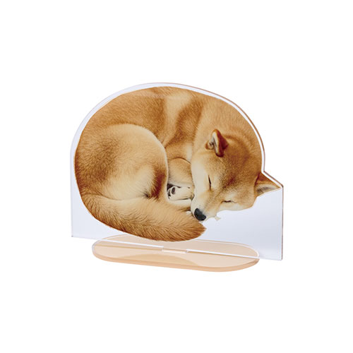 アクリルスタンドワイド 134×100mm クリア　※オリジナルのみ