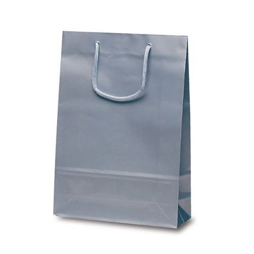 ナイスバッグ(シルバー)