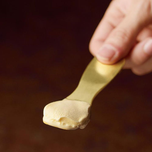 じわっととろける アイスクリームスプーン #ZEROカーボン